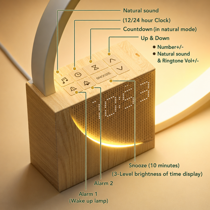 Sunrise Alarm Clock Gift with Lamp and Sound Machine for Family and Friends