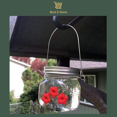 Nectar Haven - The New Amazing Hummingbird Feeder