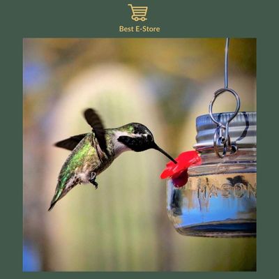 Nectar Haven - The New Amazing Hummingbird Feeder