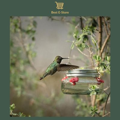 Nectar Haven - The New Amazing Hummingbird Feeder