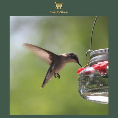 Nectar Haven - The New Amazing Hummingbird Feeder