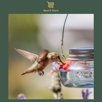 Nectar Haven - The New Amazing Hummingbird Feeder