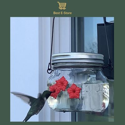 Nectar Haven - The New Amazing Hummingbird Feeder