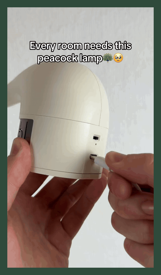 video 2- use ai no hook.mp4 • GIF